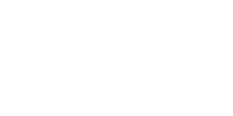 Frame 113
